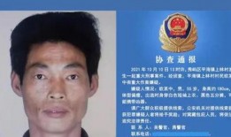 爆料武汉朱爱华案件视频,真相与争议交织