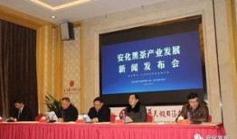 生活帮爆料黑茶新闻报道,黑茶市场乱象，真相曝光！