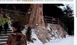 昆明爆料下雪事件真相视频