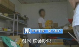 潘先生打电话被爆料视频,揭秘被爆料视频背后的真相