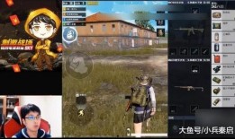 鸡哥原神爆料视频下载,鸡哥视频揭秘神秘角色背景与技能