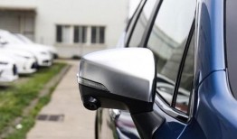 蓝鲸四哥被爆料视频,揭秘网络红人背后真相