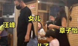 大锤爆料章子怡视频,大锤爆料背后的真相揭秘