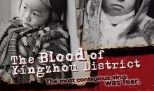 颍州的孩子在线观看,共享快乐童年时光