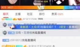 免费吃瓜直播间,带你畅游娱乐盛宴