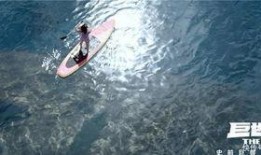 电影斗鲨在线观看,深海激战，生死较量