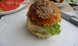 汉堡肉饼爆料视频播放大全