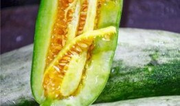 网红界的吃瓜,揭秘娱乐圈幕后真相