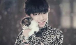 重庆小酒窝爆料视频,揭秘网红背后的故事