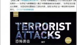 新疆爆料最新消息视频,视频揭露惊人真相！