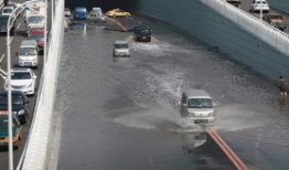 新立交桥爆料了吗最新消息,揭秘工程进度与亮点”