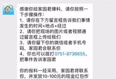 今日爆料文字图片大全集,图文并茂，揭秘热点事件背后的真相