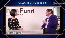 爆料徐小平完整版视频,创业投资背后的真实故事与智慧