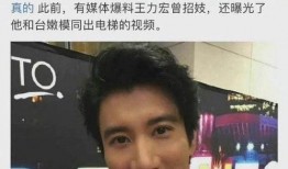 爆料视频王力宏,揭秘背后惊人真相