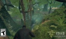 最新先祖爆料视频大全,最新爆料视频大全深度解析