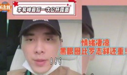 网红 爆料李易峰视频,网红爆料背后的真相揭秘