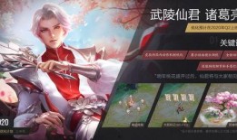 张大仙爆料武陵仙君视频,武陵仙君视频背后的神秘故事