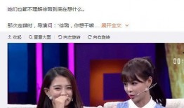 爆料徐璐乔任梁事件视频,真相与疑云交织