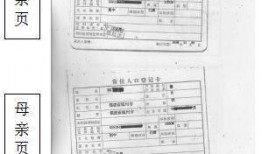 王牌黑料爆料视频大全,王牌黑料视频大全深度解析