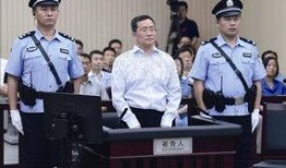 爆料武汉朱爱华案件视频,真相与争议交织