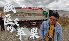 藏区货车拉人爆料视频,安全隐患与生存困境并存