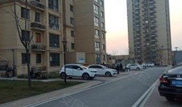 西安杜永村最新爆料,揭秘背后惊人真相