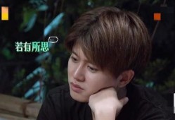 娱乐圈真实爆料任嘉伦,娱乐圈背后的励志人生与情感纠葛