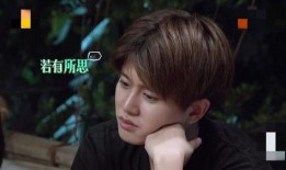 娱乐圈真实爆料任嘉伦,娱乐圈背后的励志人生与情感纠葛