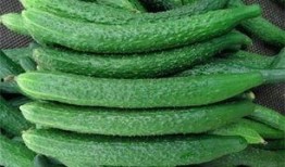 黄瓜农药爆料视频播放大全,视频爆料大全深度解析