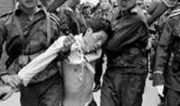 金华粉丝爆料案件始末最新消息,揭秘事件始末全貌