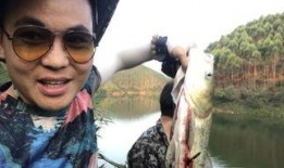 弓在线观看,探索弓术魅力，领略传统技艺风采