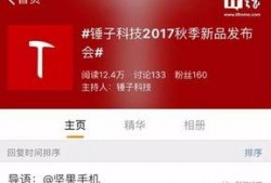 锤子最新爆料,颠覆性设计，引领科技潮流！”