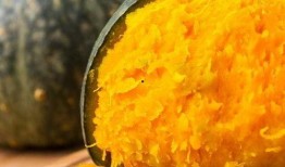 网红界的吃瓜,揭秘娱乐圈幕后真相