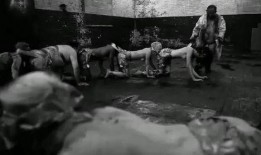 人体蜈蚣3电影在线观看,惊悚极限，生死较量