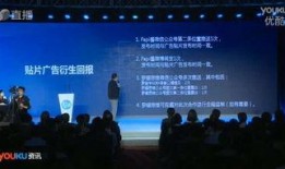 爆料徐小平完整版视频,创业投资背后的真实故事与智慧