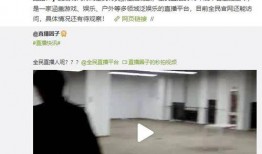 欠债逃跑爆料视频播放在线观看,在线观看追踪逃债者行踪