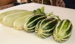 网红吃瓜平台,娱乐圈幕后真相大曝光