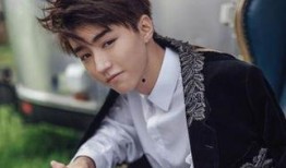 天天向上爆料王俊凯视频,揭秘偶像背后的故事