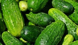 黄瓜农药爆料视频播放大全,视频爆料大全深度解析