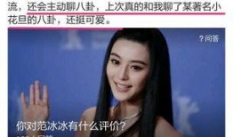 冰冰爆料视频大全,揭秘娱乐圈幕后真相
