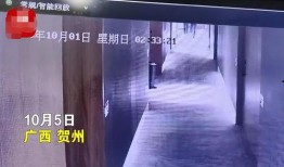 网友爆料某园长视频,揭秘幼儿园真实内幕