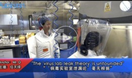 病毒实验室爆料视频大全,爆料视频大全深度解析