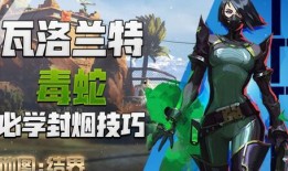 瓦洛兰特最新爆料,神秘英雄登场，游戏剧情再掀波澜