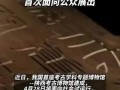最新社会百态爆料新闻报道,最新爆料揭示现实众生相