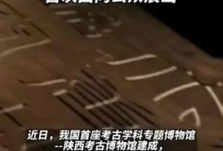 最新社会百态爆料新闻报道,最新爆料揭示现实众生相