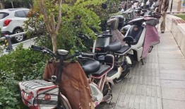 济南电动车爆料新闻,揭秘背后安全隐患