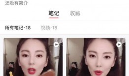 冰冰爆料视频大全,揭秘娱乐圈幕后真相