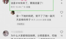 樊小慧爆料原文视频播放,揭秘事件背后真相