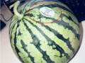 陇南吃瓜网红,带你领略当地美食风情
