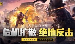 和平精英爆料小丑视频,神秘面纱下的惊悚魅力